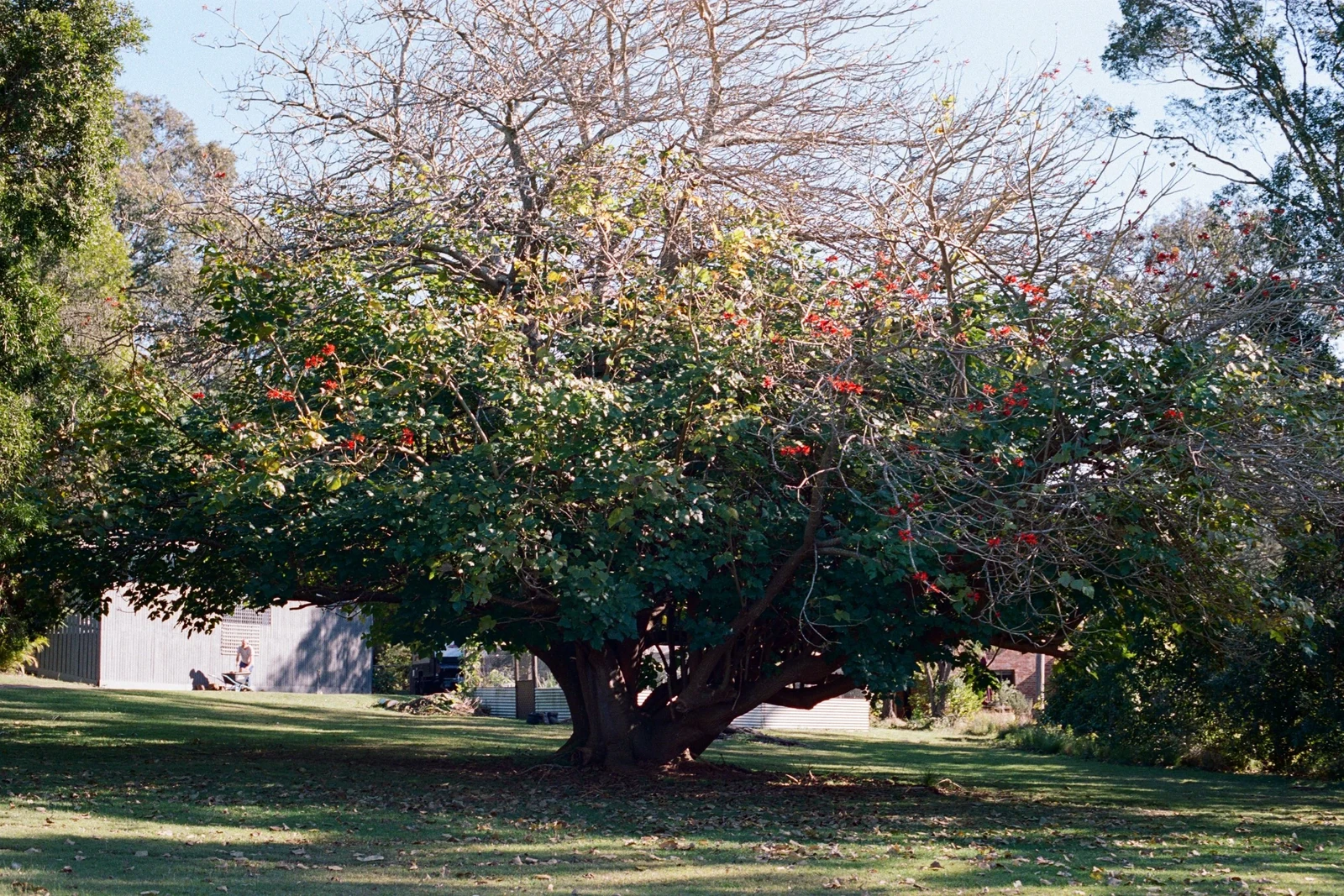 Super Nature — behind-the-scenes photograph 20 by Oliver Poignand