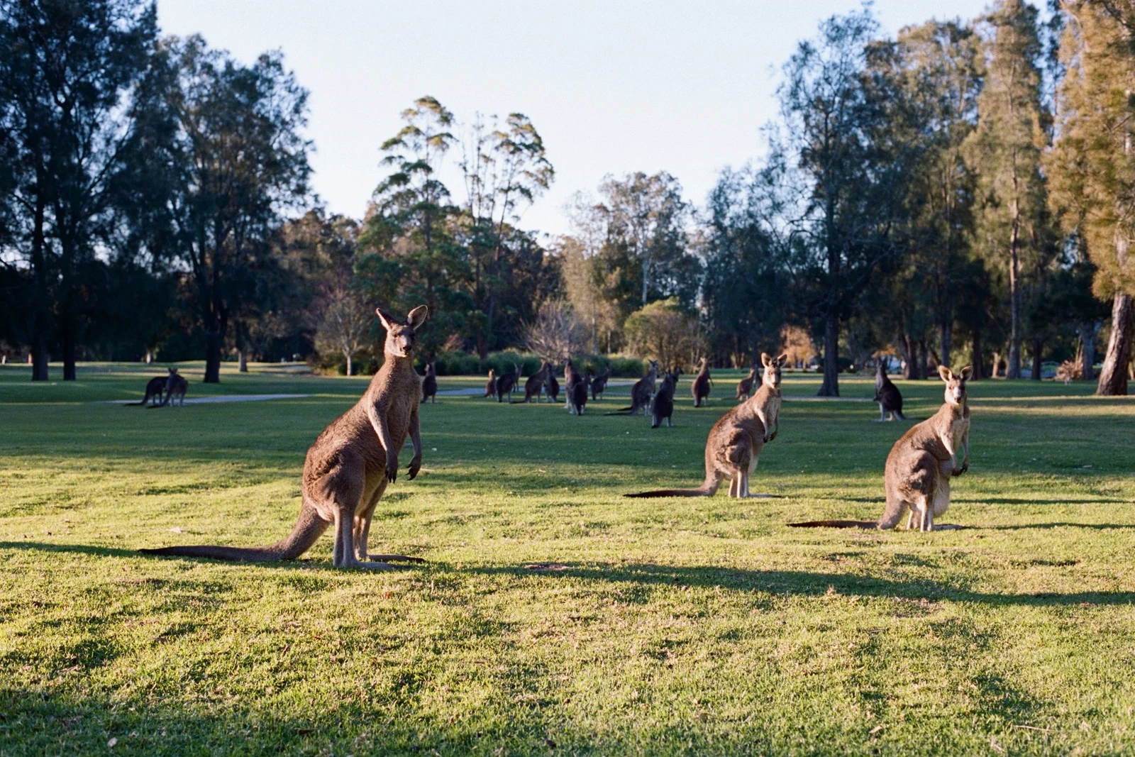 Super Nature — behind-the-scenes photograph 15 by Oliver Poignand
