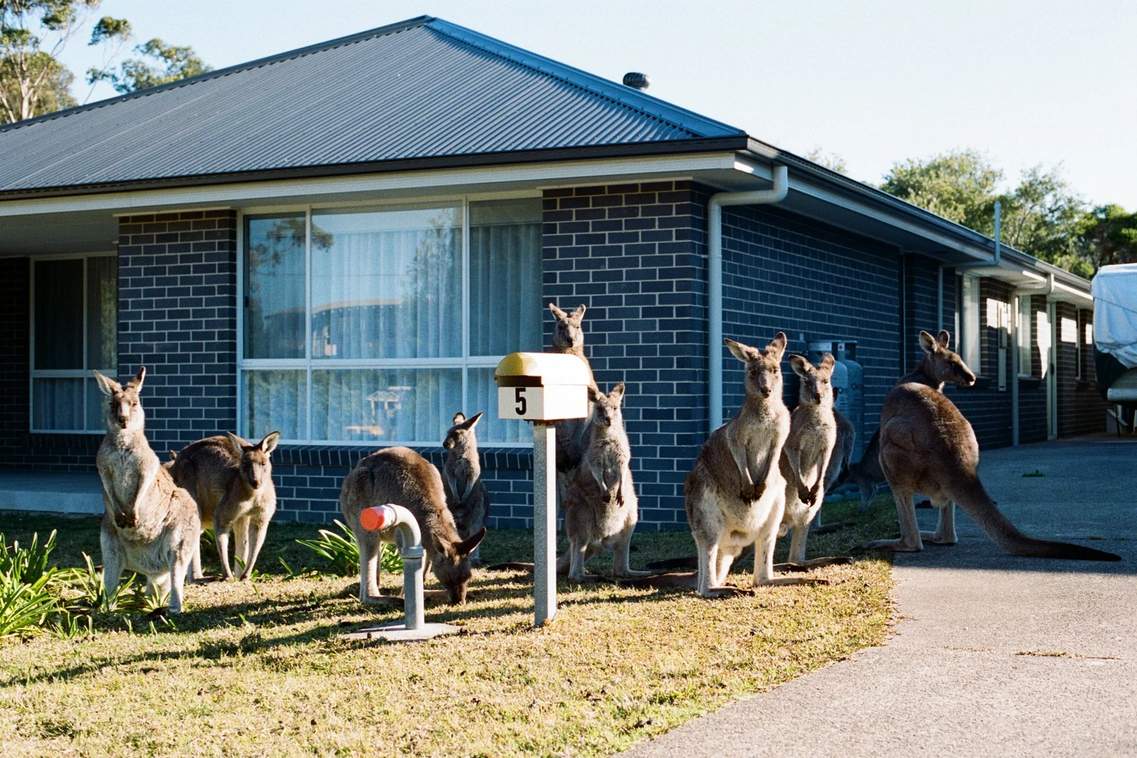 Super Nature — behind-the-scenes photograph 23 by Oliver Poignand