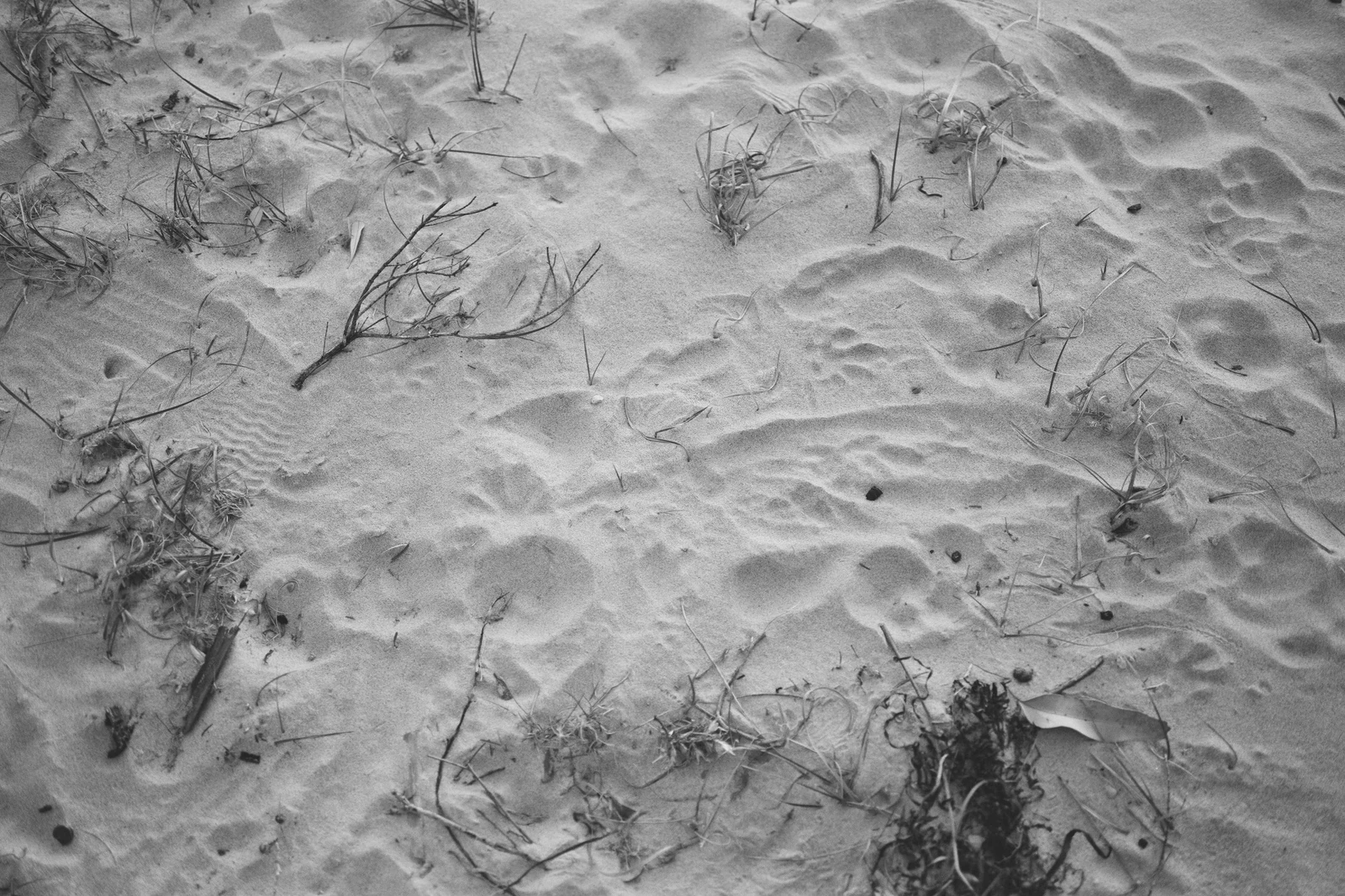 Super Nature — behind-the-scenes photograph 9 by Oliver Poignand