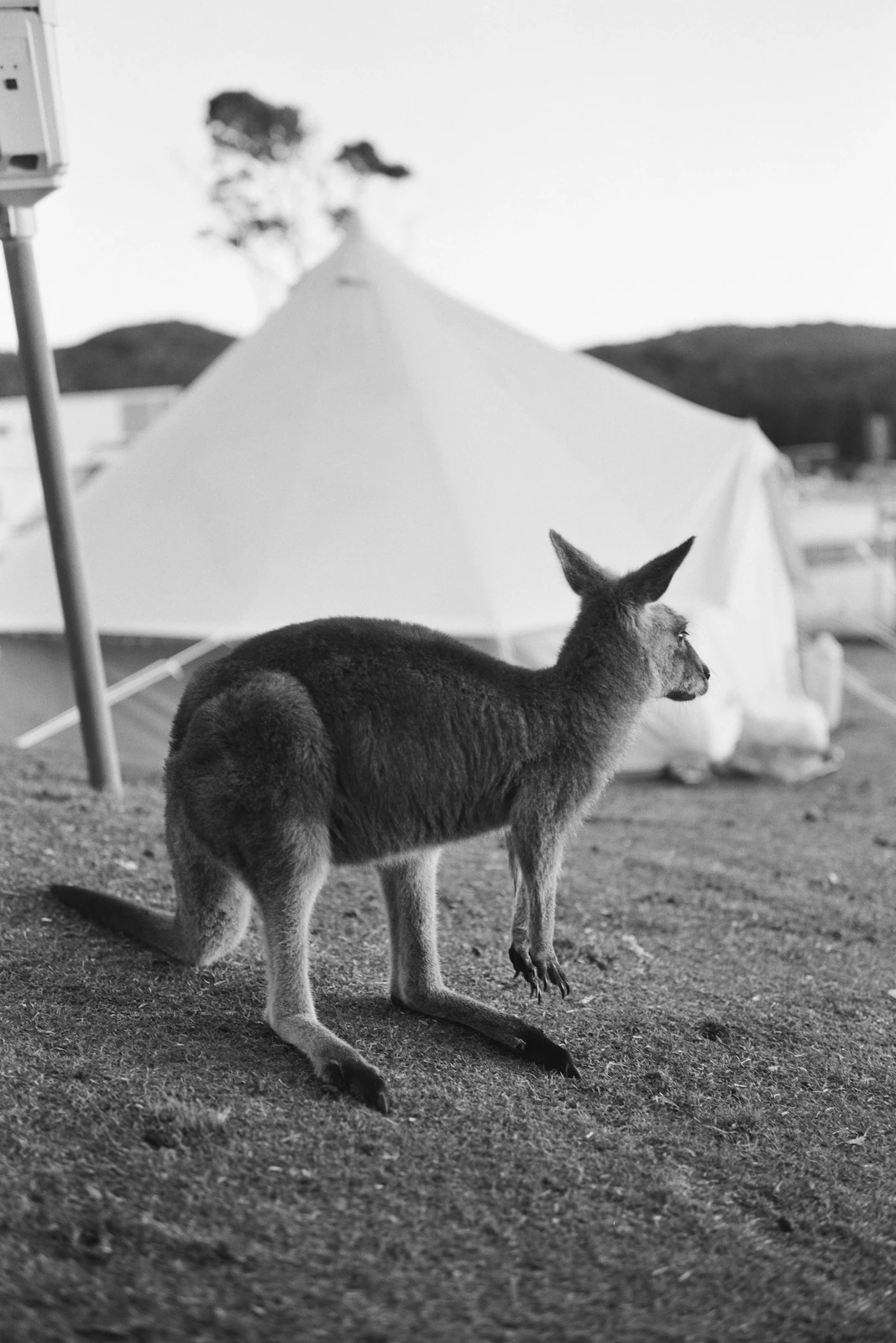 Super Nature — behind-the-scenes photograph 3 by Oliver Poignand