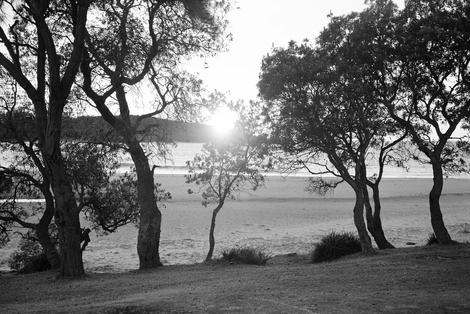Super Nature — behind-the-scenes photograph 5 by Oliver Poignand